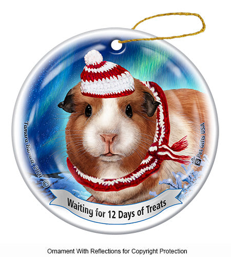 Guinea Pig American 12 Days of Treats Ornament