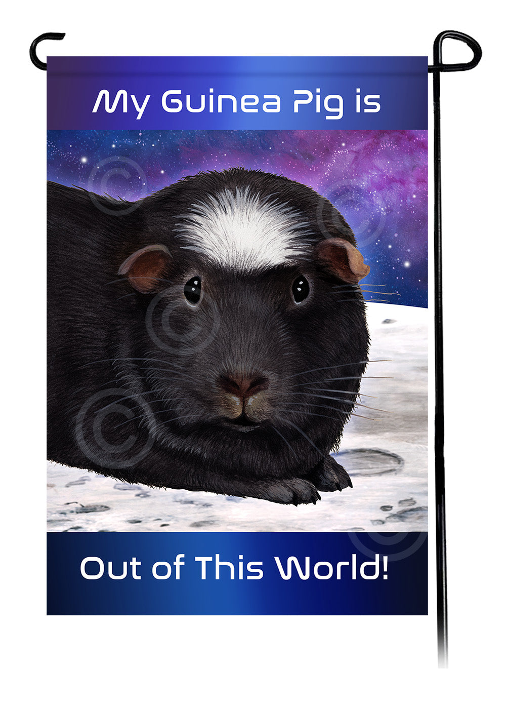 Black Crested Guinea Pig Out Of This World Garden Flags