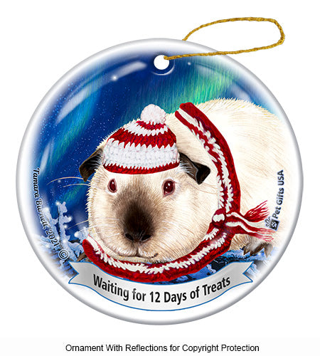 Guinea Pig Himalayan Cat 12 Days of Treats Ornament