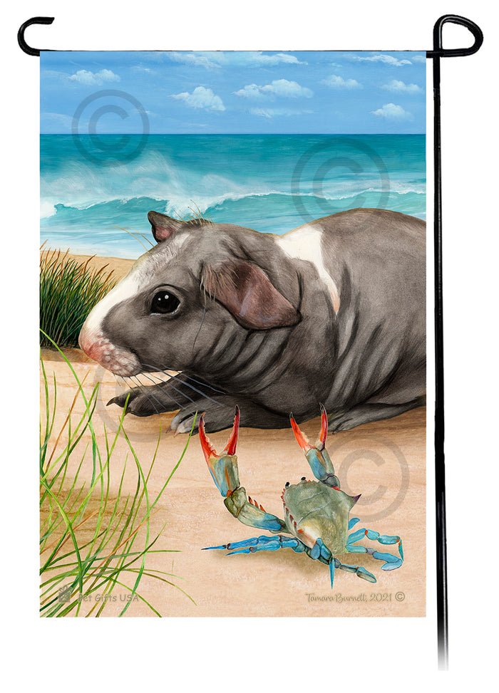 Skinny Hairless Guinea Pig Summer Flowers Garden Flag
