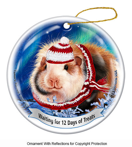 Guinea Pig Teddy 12 Days of Treats Ornament