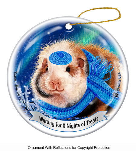 Guinea Pig Teddy Hanukkah Ornament