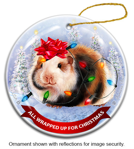 Guinea Pig Teddy All Wrapped Up Ornament