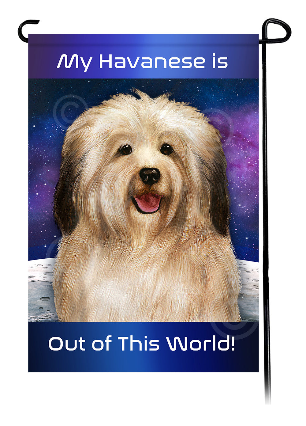 Black Sable Ferret Out Of This World - Garden Flag