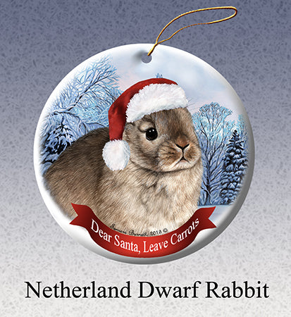 Netherland Dwarf Rabbit - Dear Santa, Define Naughty Christmas Ornament