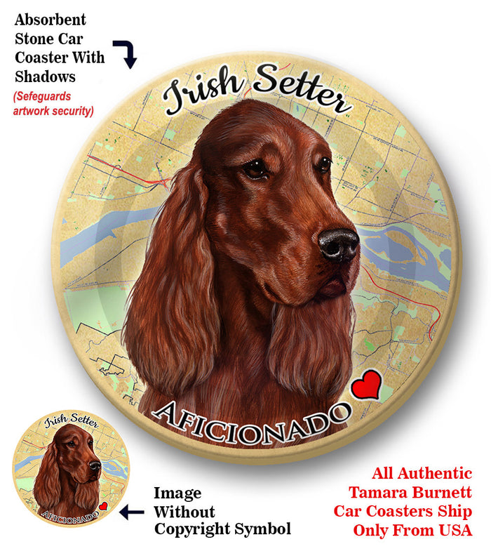 photo of Irish Setter
