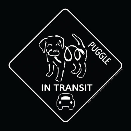 Puggle K-Lines In Transit Magnets