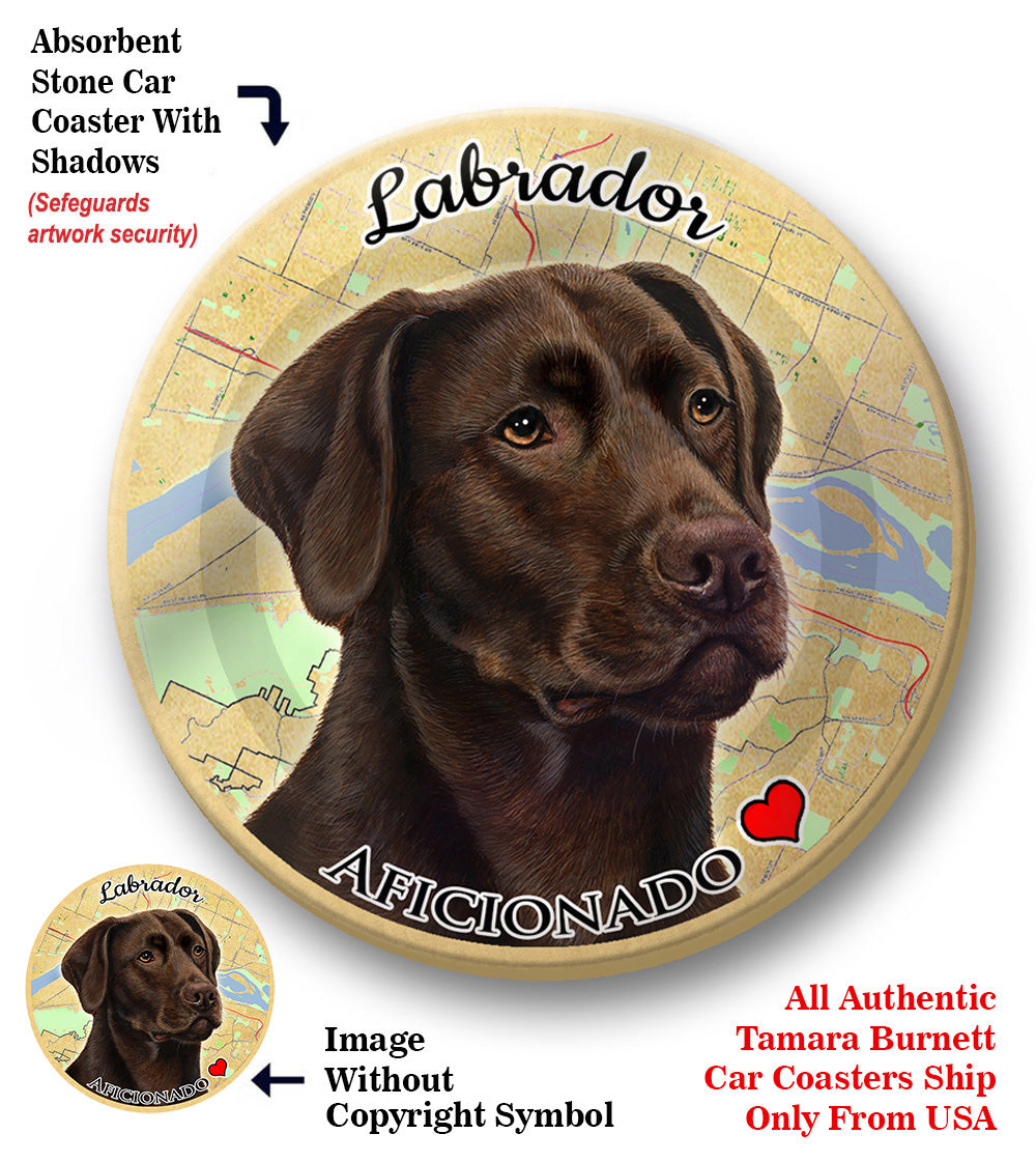 photo of Labrador Retriever