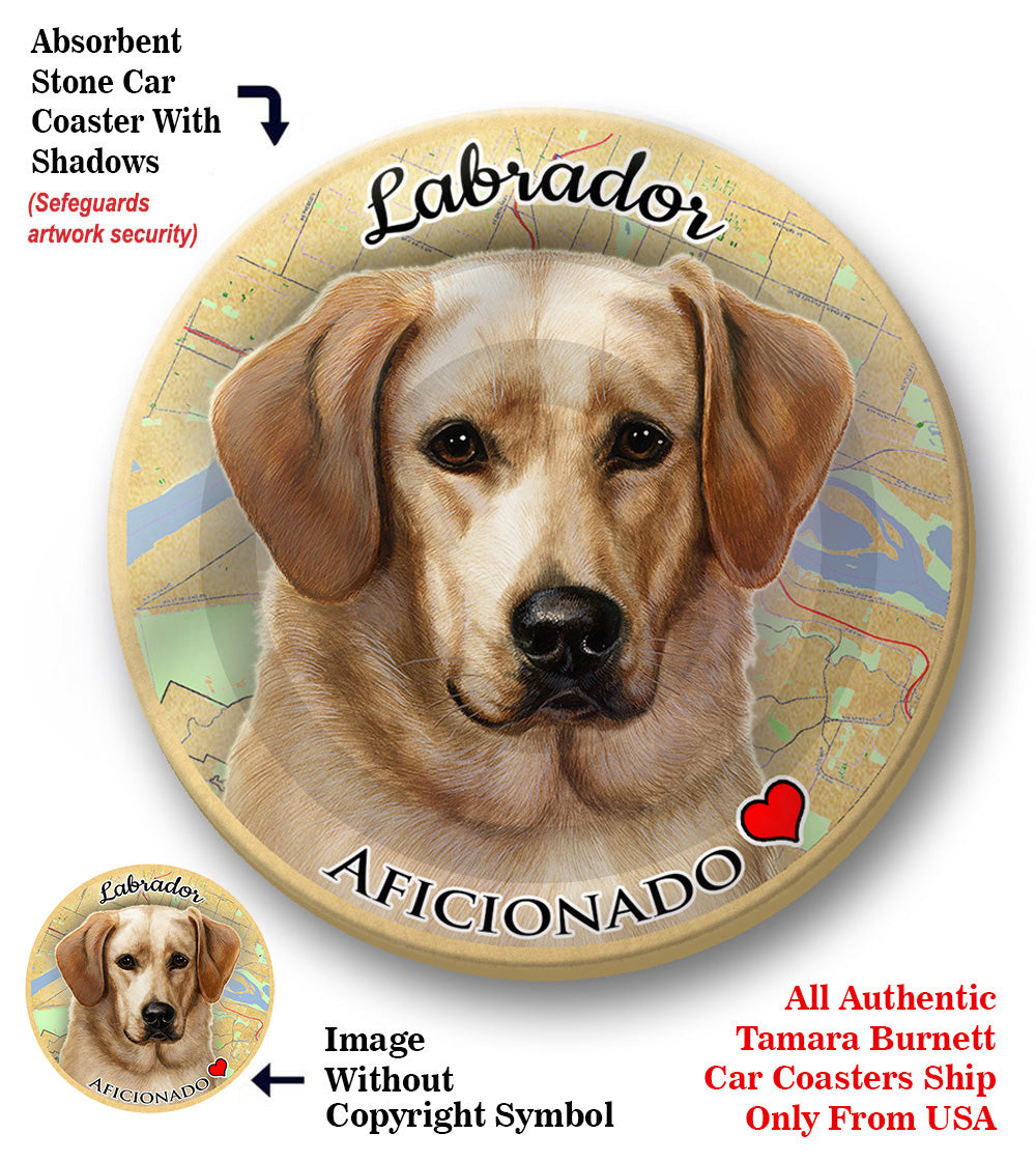 photo of Labrador Retriever