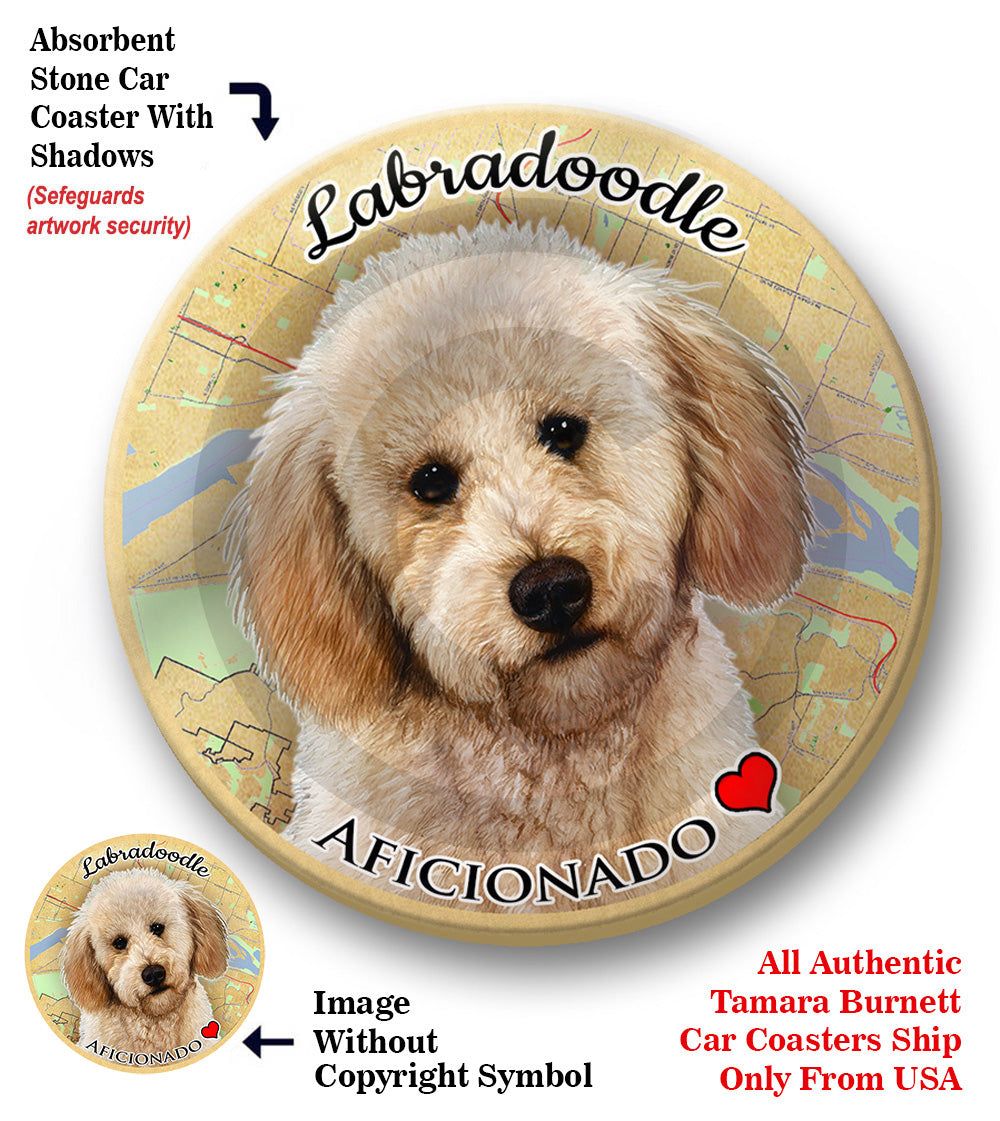photo of Labradoodle