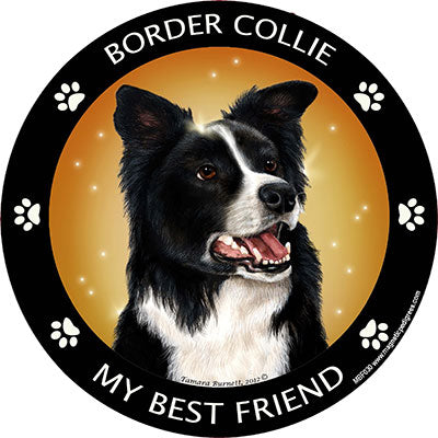 Border Collie My Best Friend Magnets