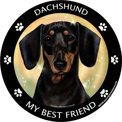 Dachshund My Best Friend Magnets