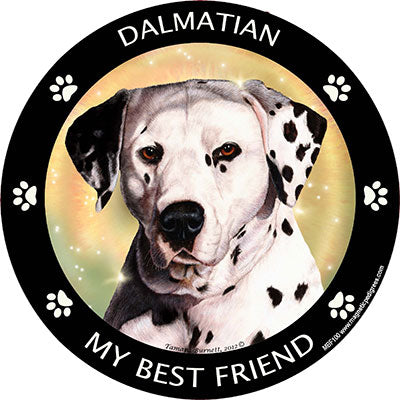 Dalmatian My Best Friend Magnets