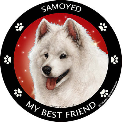 Samoyed My Best Friend Magnets