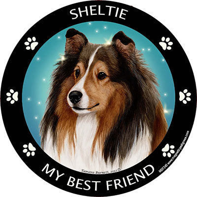 Shetland Sheepdog My Best Friend Magnets