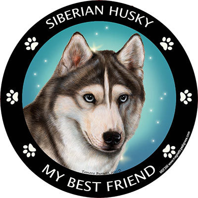 Siberian Husky My Best Friend Magnets