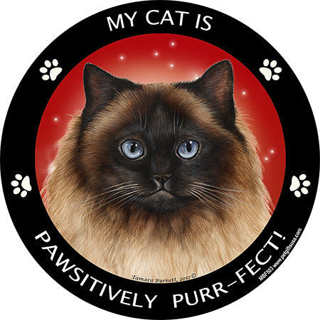 Himalayan Cat My Best Friend Magnets
