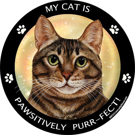 Tabby Cat My Best Friend Magnets