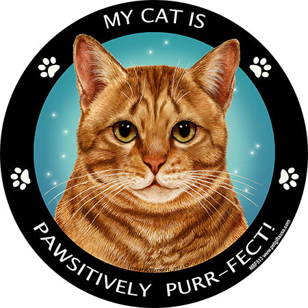 Tabby Cat My Best Friend Magnets