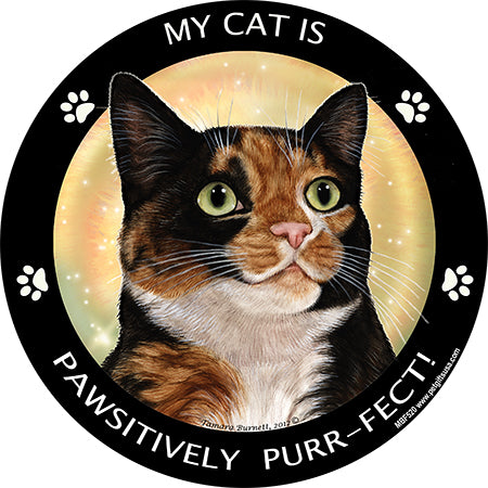 Tortoiseshell Cat My Best Friend Magnets