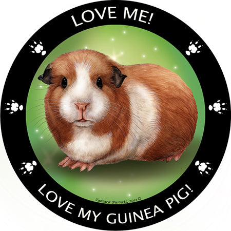 American Guinea Pig My Best Friend Magnets