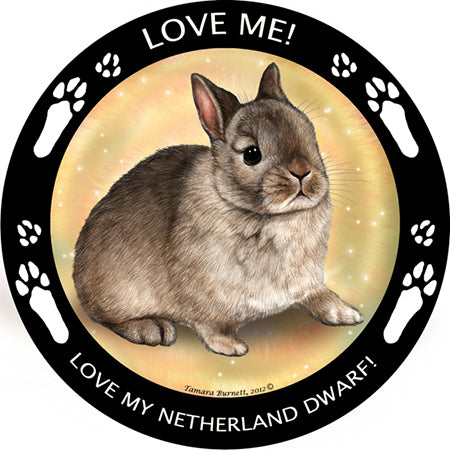Netherland Dwarf Rabbit My Best Friend Magnets