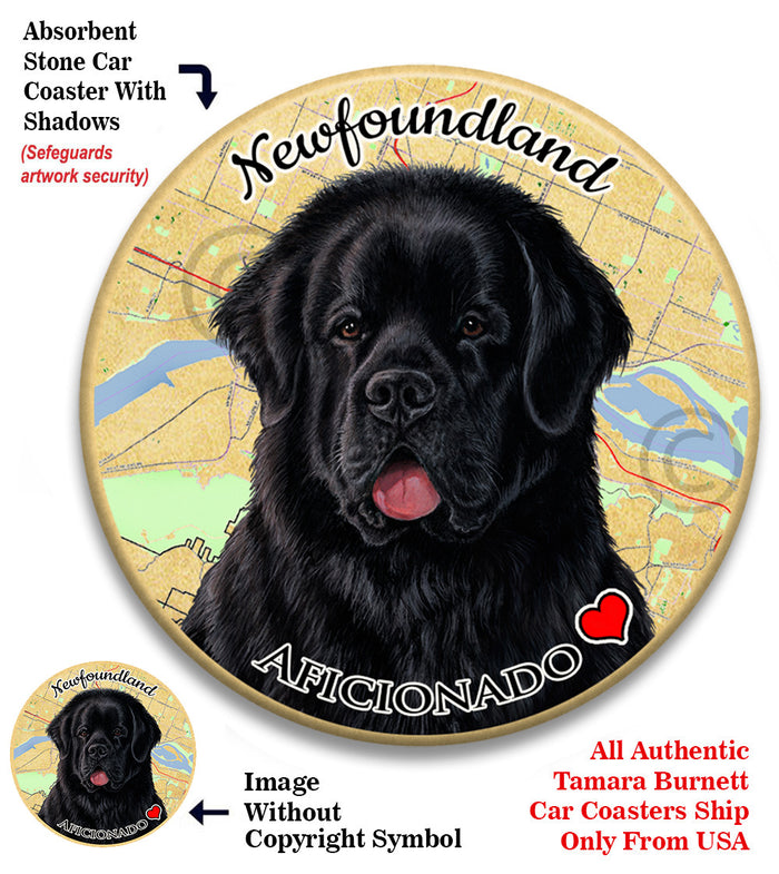 photo of Newfoundland