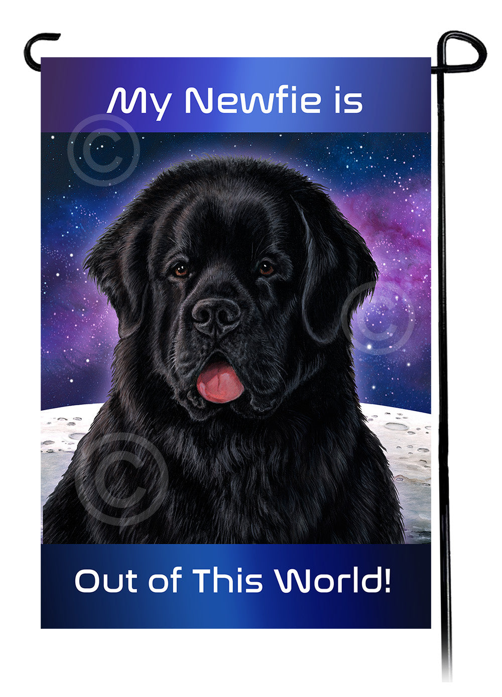 Newfoundland Out Of This World Garden Flags