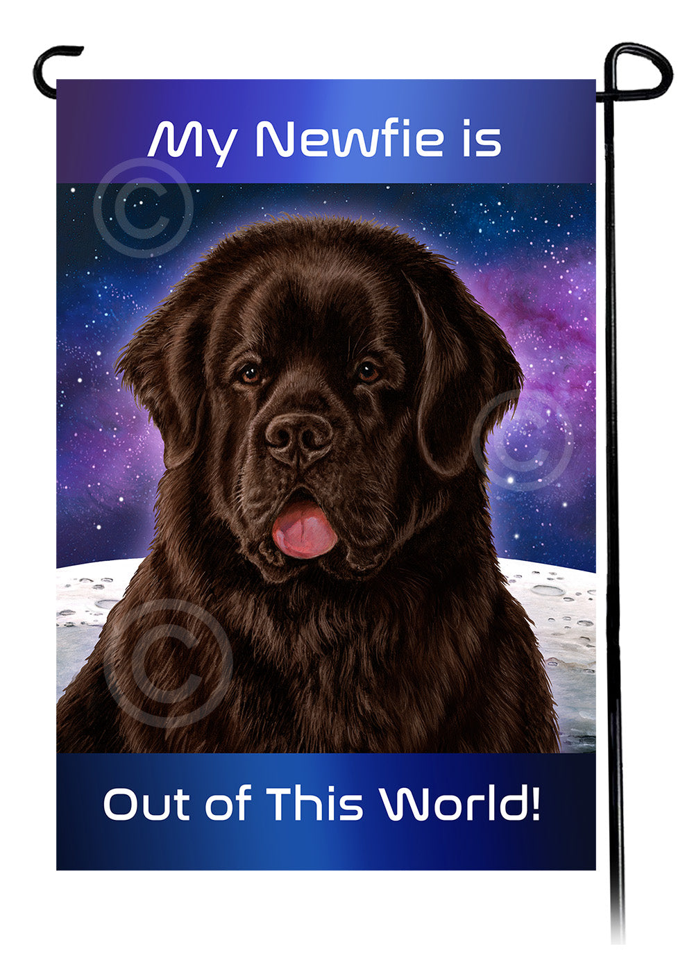 Newfoundland Out Of This World - Garden Flag