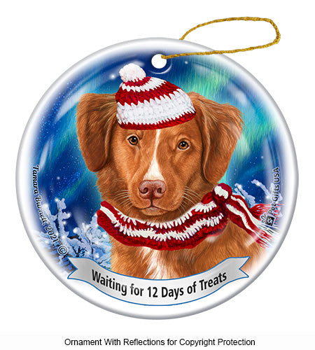 Nova Scotia Duck Tolling 12 Days of Treats Ornament