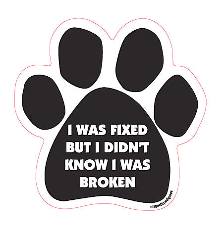 Dog Paw Shaped Magnets