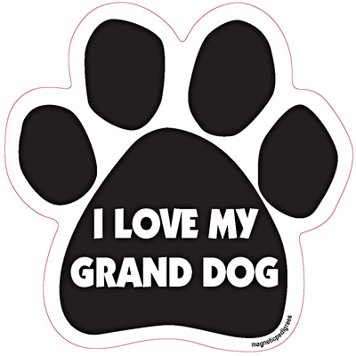 Love Paw Shaped Magnets