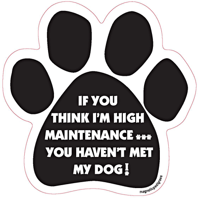 Dog Paw Shaped Magnets