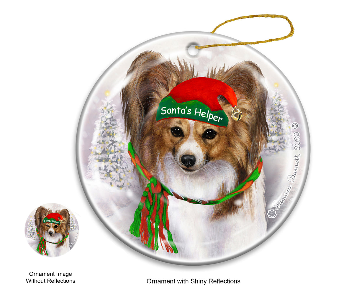Papillon Sable and White Ornament