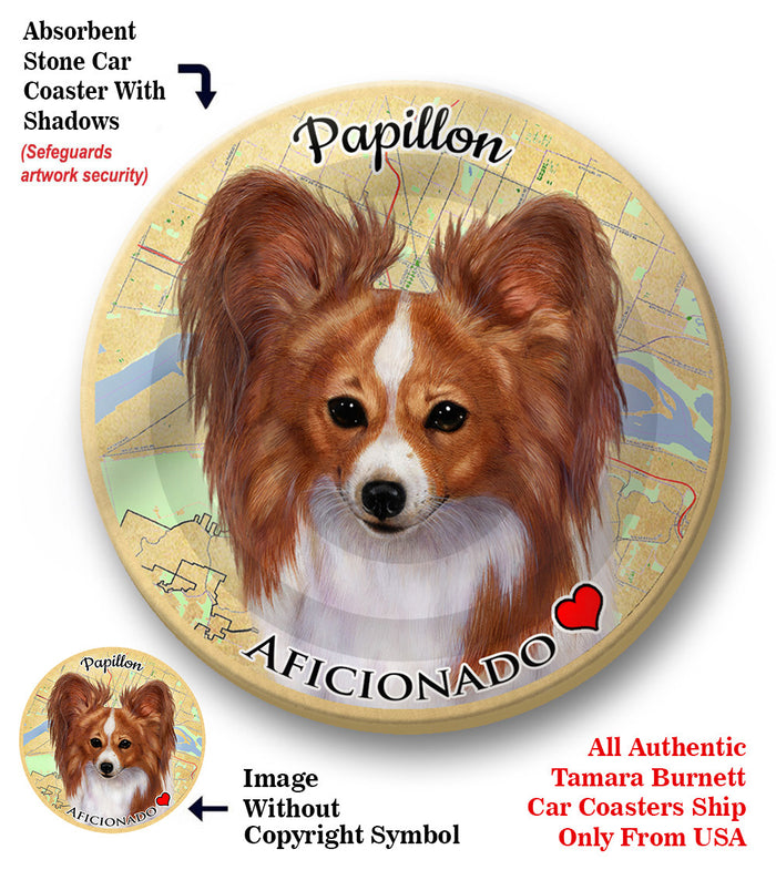 photo of Papillon