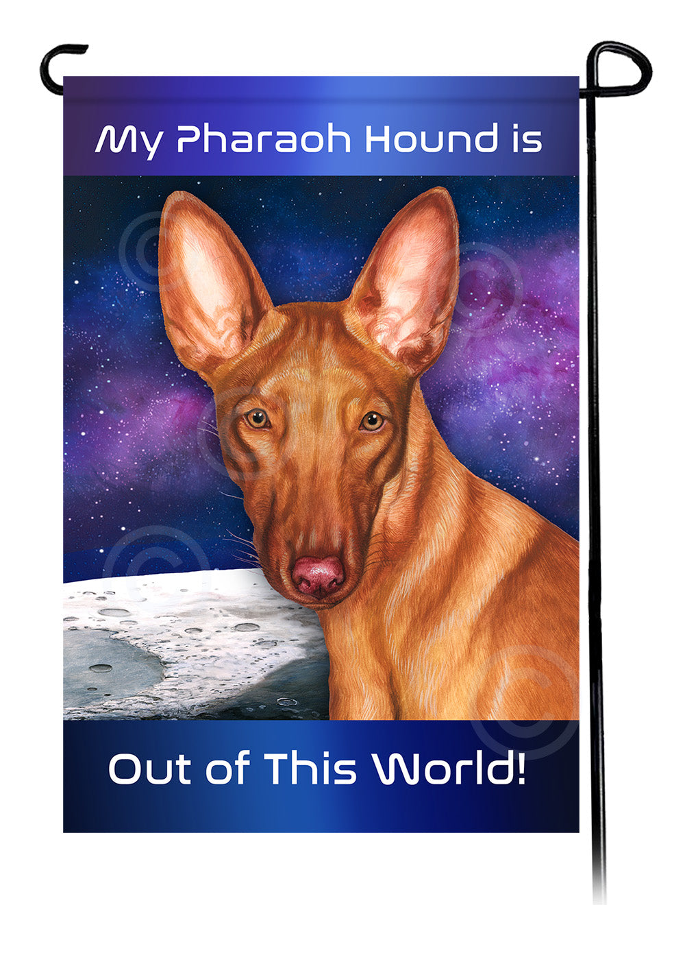 Pharaoh Hound Out Of This World Garden Flags