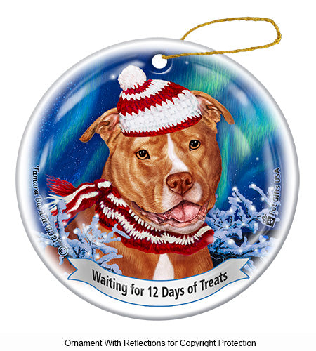 Pit Bull Uncropped Orange and White Ornament