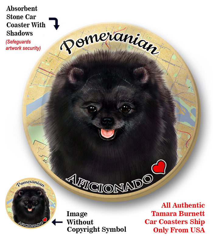 photo of Pomeranian