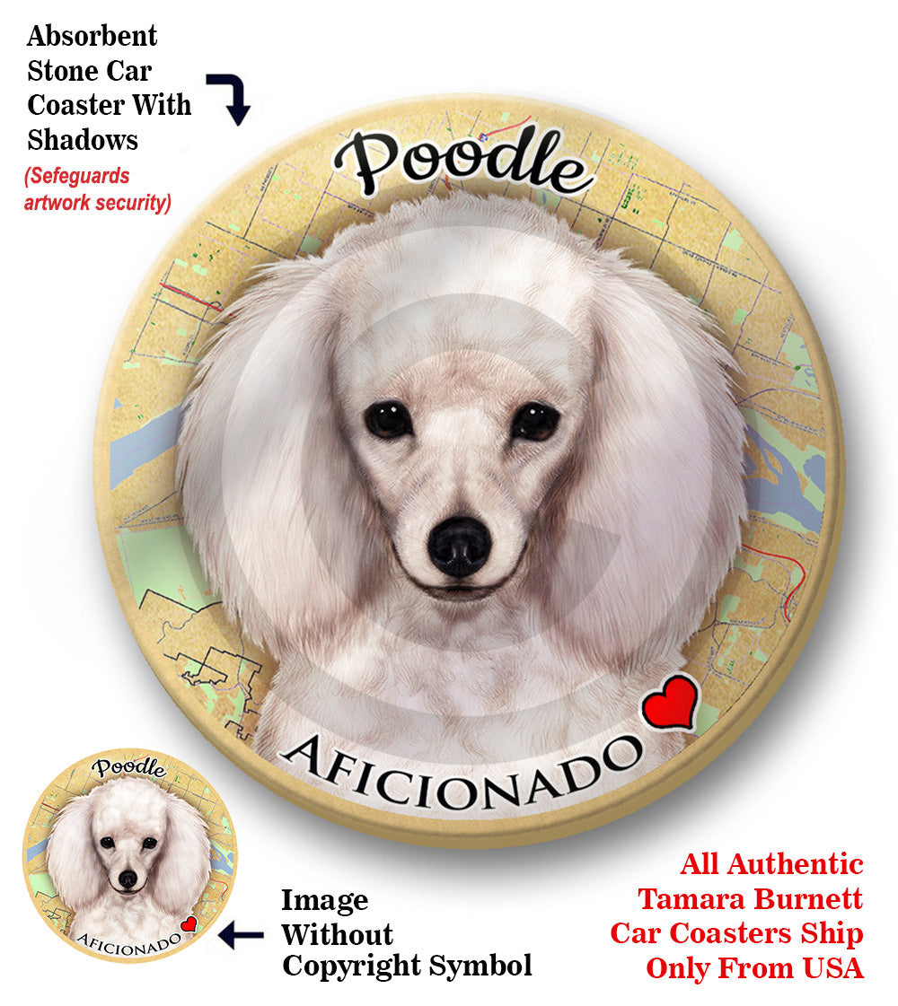 photo of Poodle