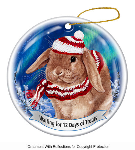 Rabbit Mini Lop 12 Days of Treats Ornament