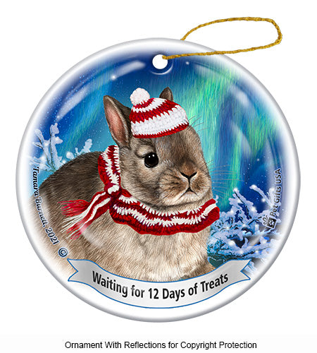 Rabbit Netherland Dwarf 12 Days of Treats Ornament