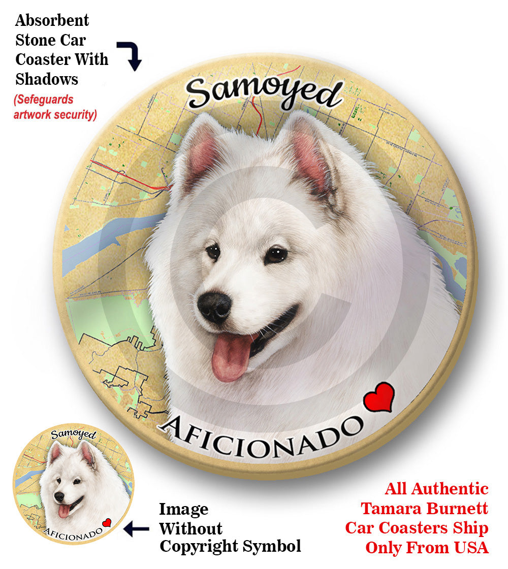 photo of Samoyed