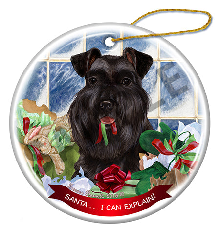 Briard Black - Santa I Can Explain Ornament