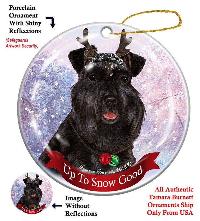 Briard Black - Up To Snow Good Ornament