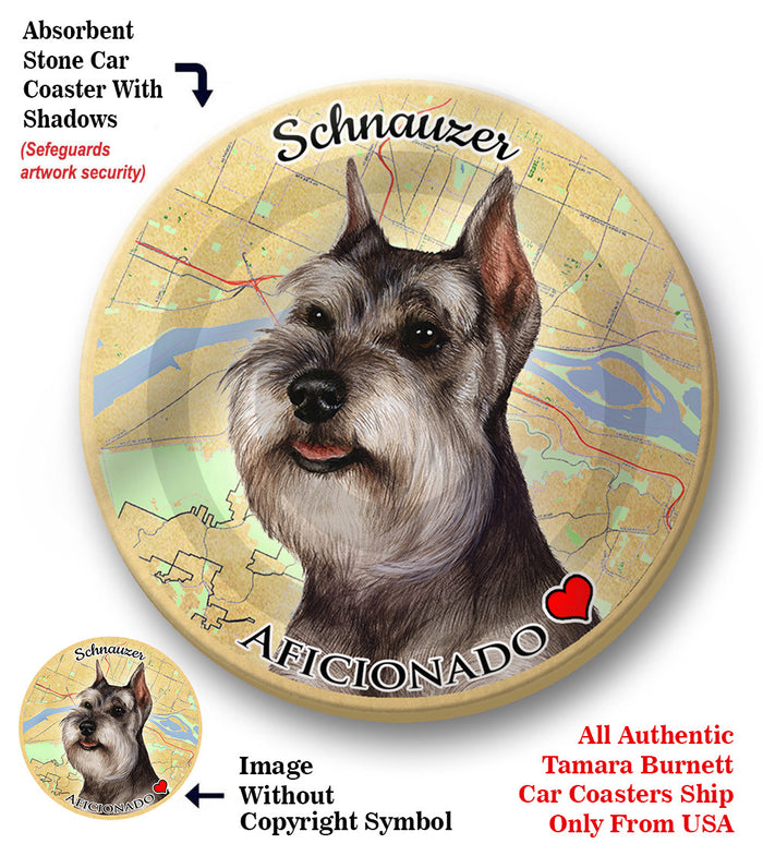 photo of Schnauzer