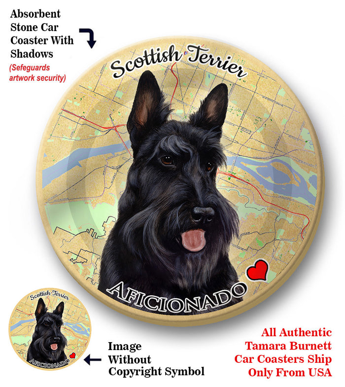 photo of Scottish Terrier