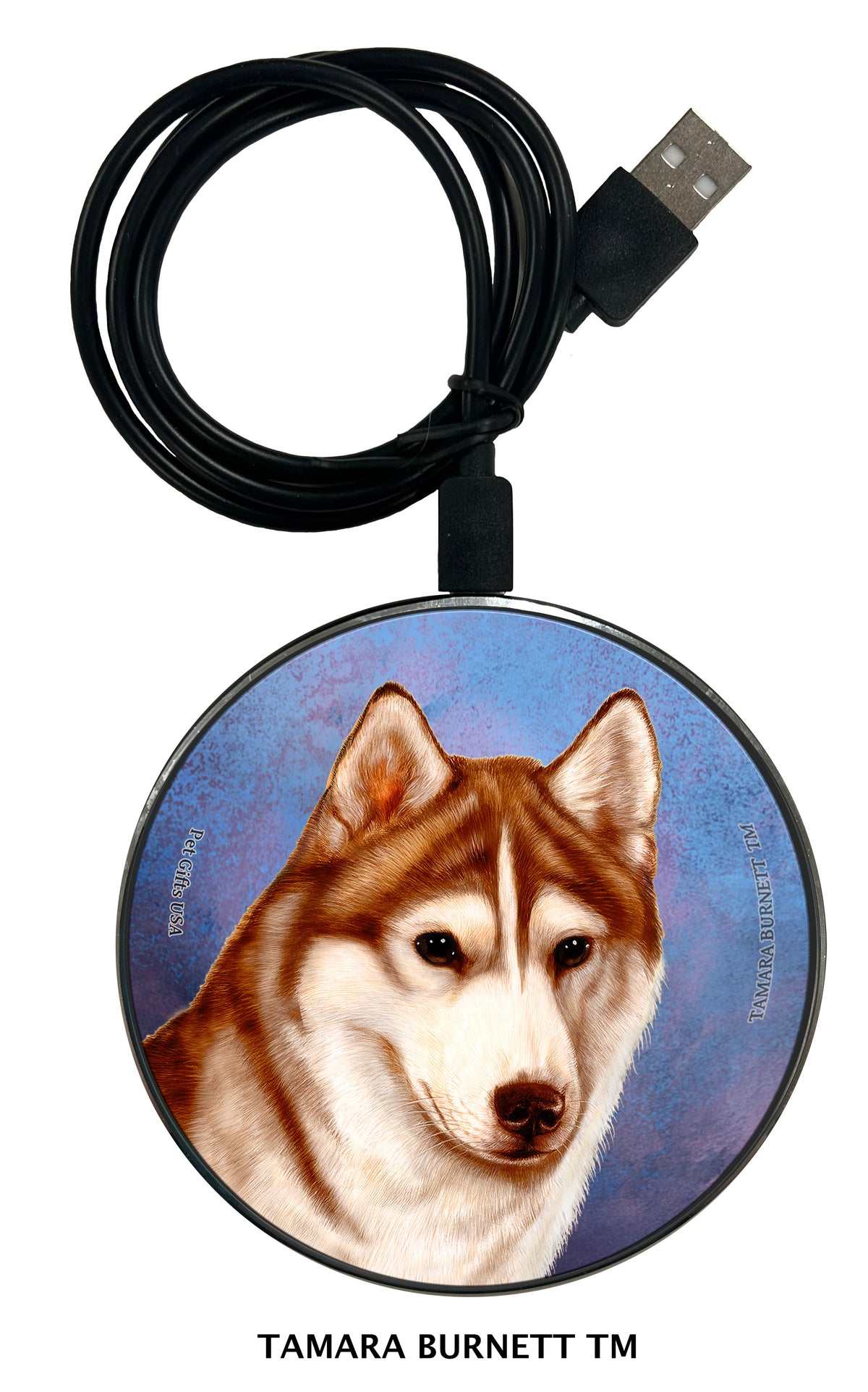Siberian Husky Brown Eye Red and White Zoomies Wireless Charger