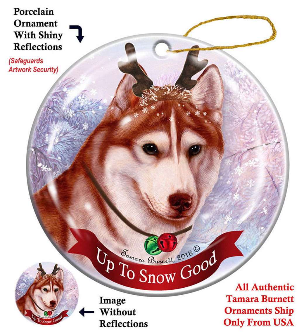Siberian Husky Brown Eye Red and White Ornament