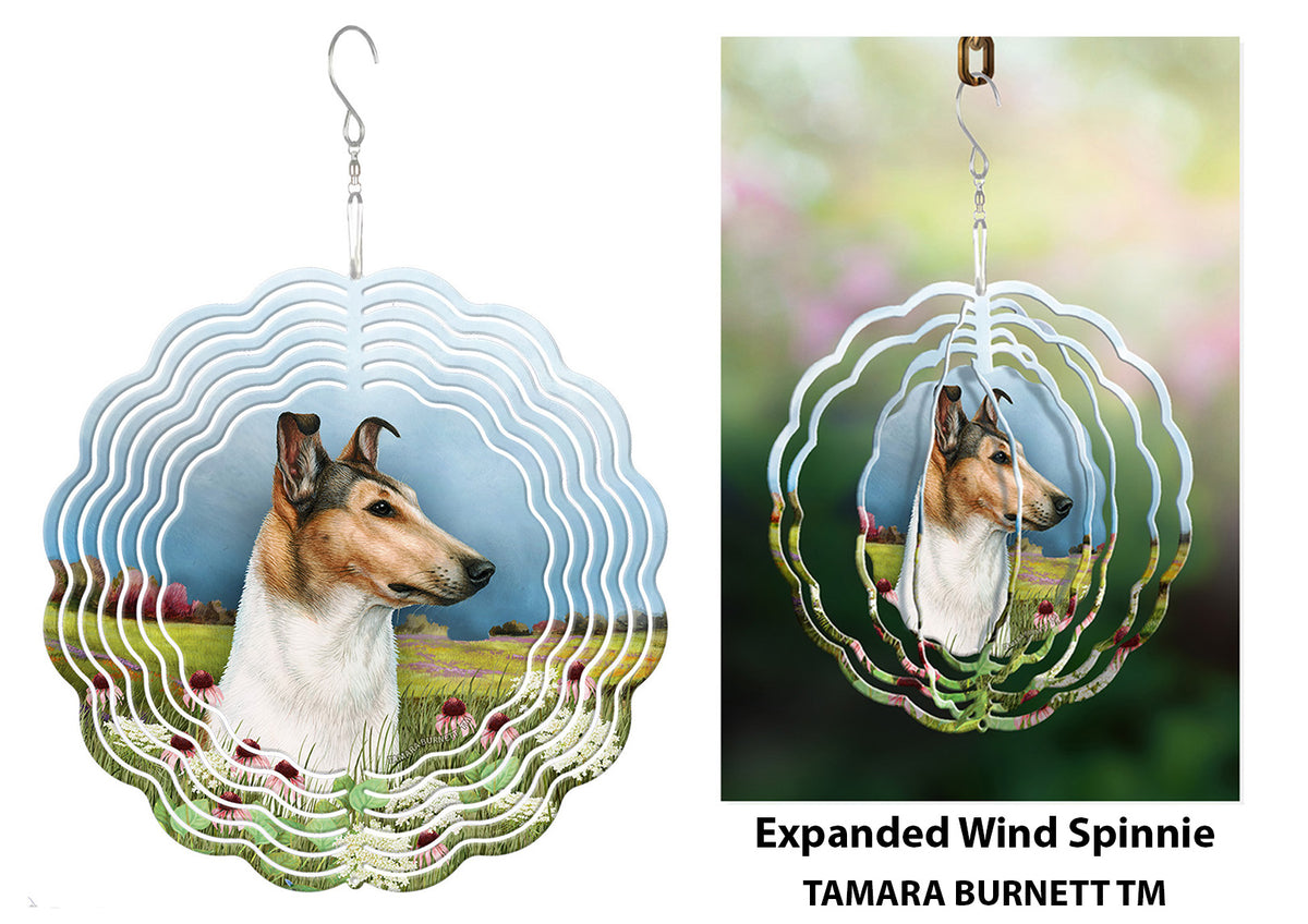 Smooth Collie Sable and White Wind Spinner