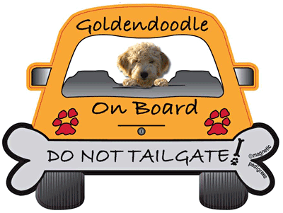 Goldendoodle Do Not Tailgate Magnets